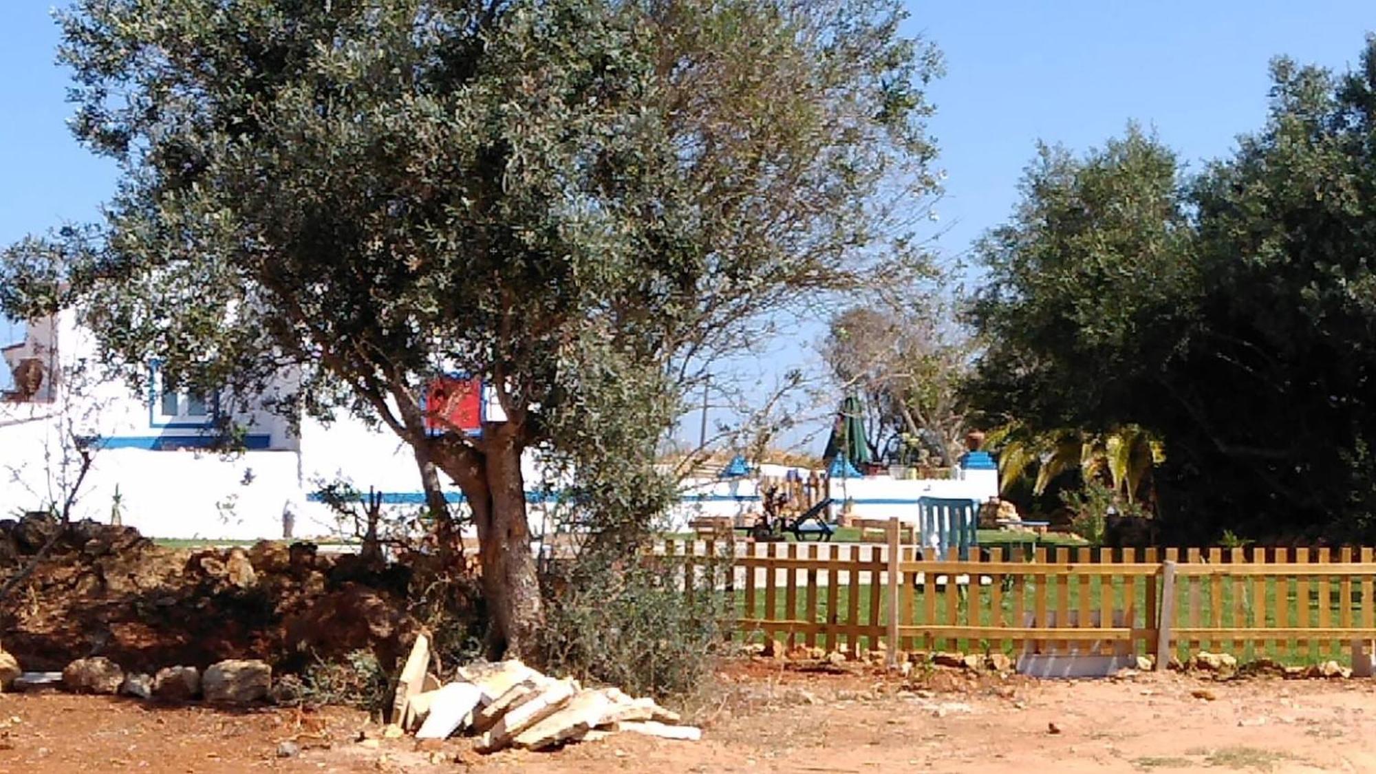 Casa Da Oliveira - Nice 2 Bedrooms Bungalow In Lagos Ferienhaus